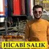 Hicabi Salık - Ağır Delilo